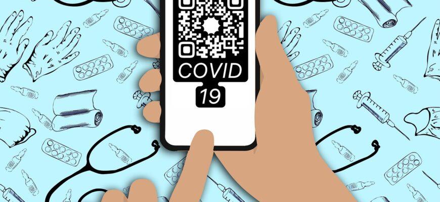 qr code, covid-19, mobile phone, pandemic, infection, epidemic, corona restrictions, vaccination qr code, vaccination, vaccination certificate, document, certificate, smartphone, phone, covid 19, checking codes, lockdown, the documents, grafted, healthy, scanning, qr code, qr code, qr code, qr code, qr code